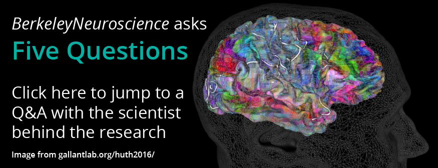 berkeleyneuroscience_asks_five_q